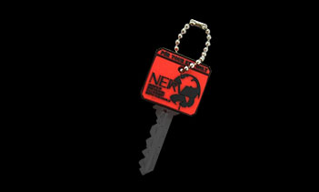 �L�[�J�o�[�i�l���t�j